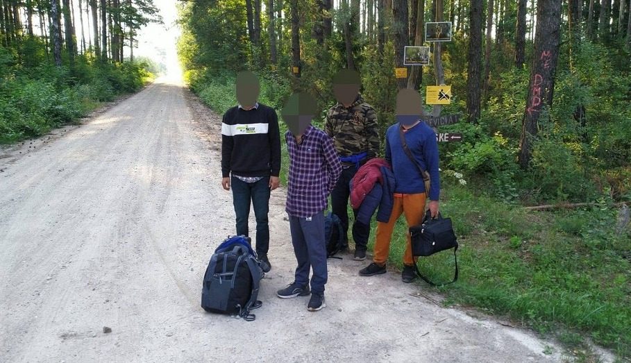 Imigranci zatrzymani przez litewską Straż Graniczną (zdj. ilustracyjne, pasiensis.lt)